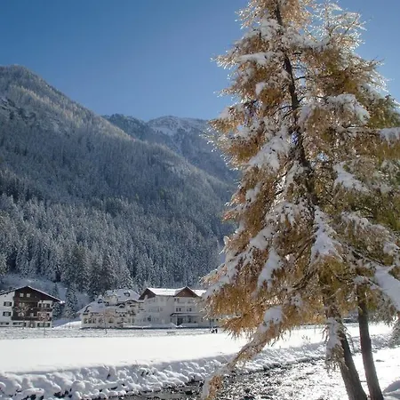 Отель Schmid & 3*